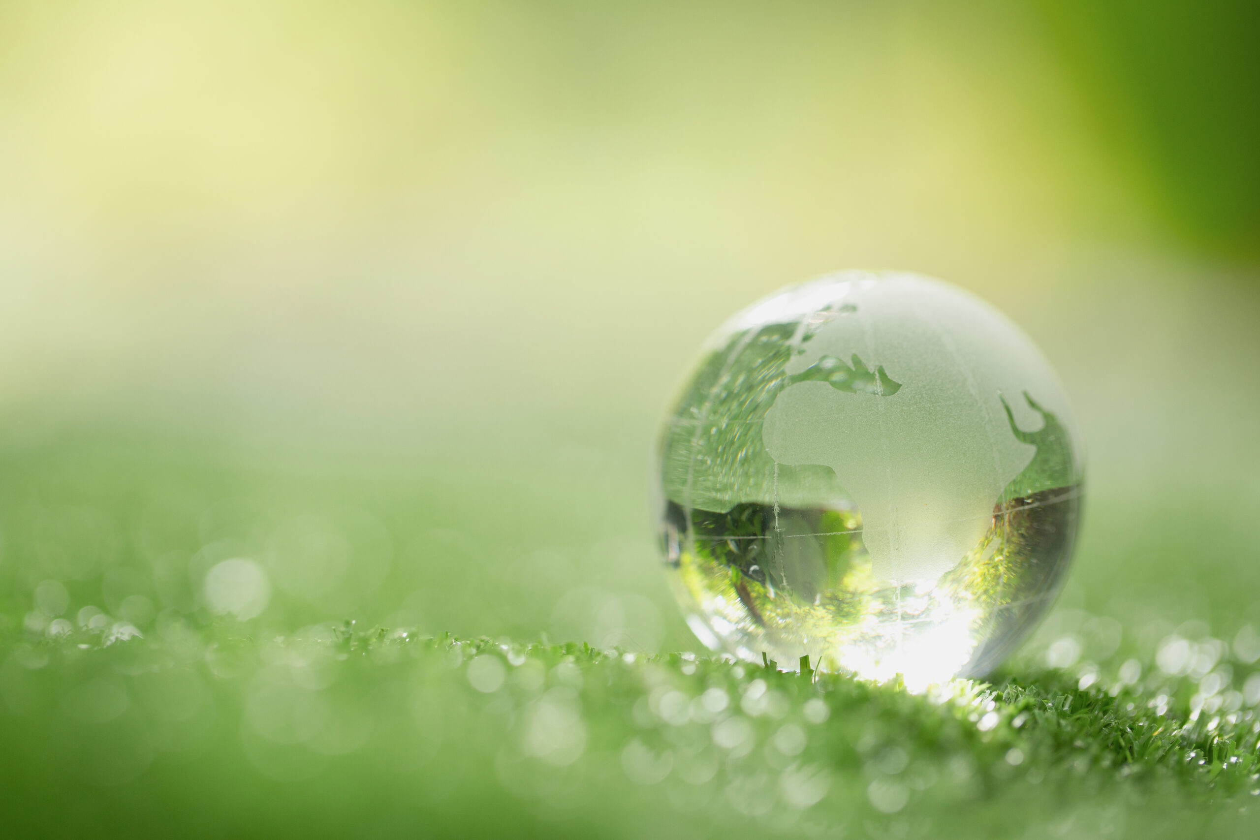 recycling startup India